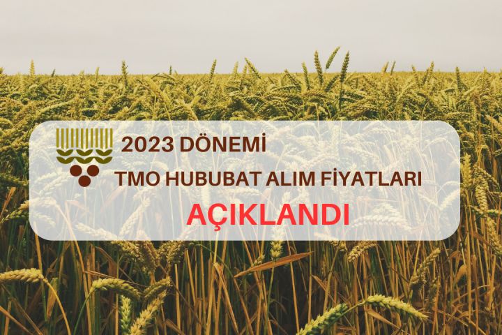 2023 TMO HUBUBAT ALIM FİYAT AÇIKLADI